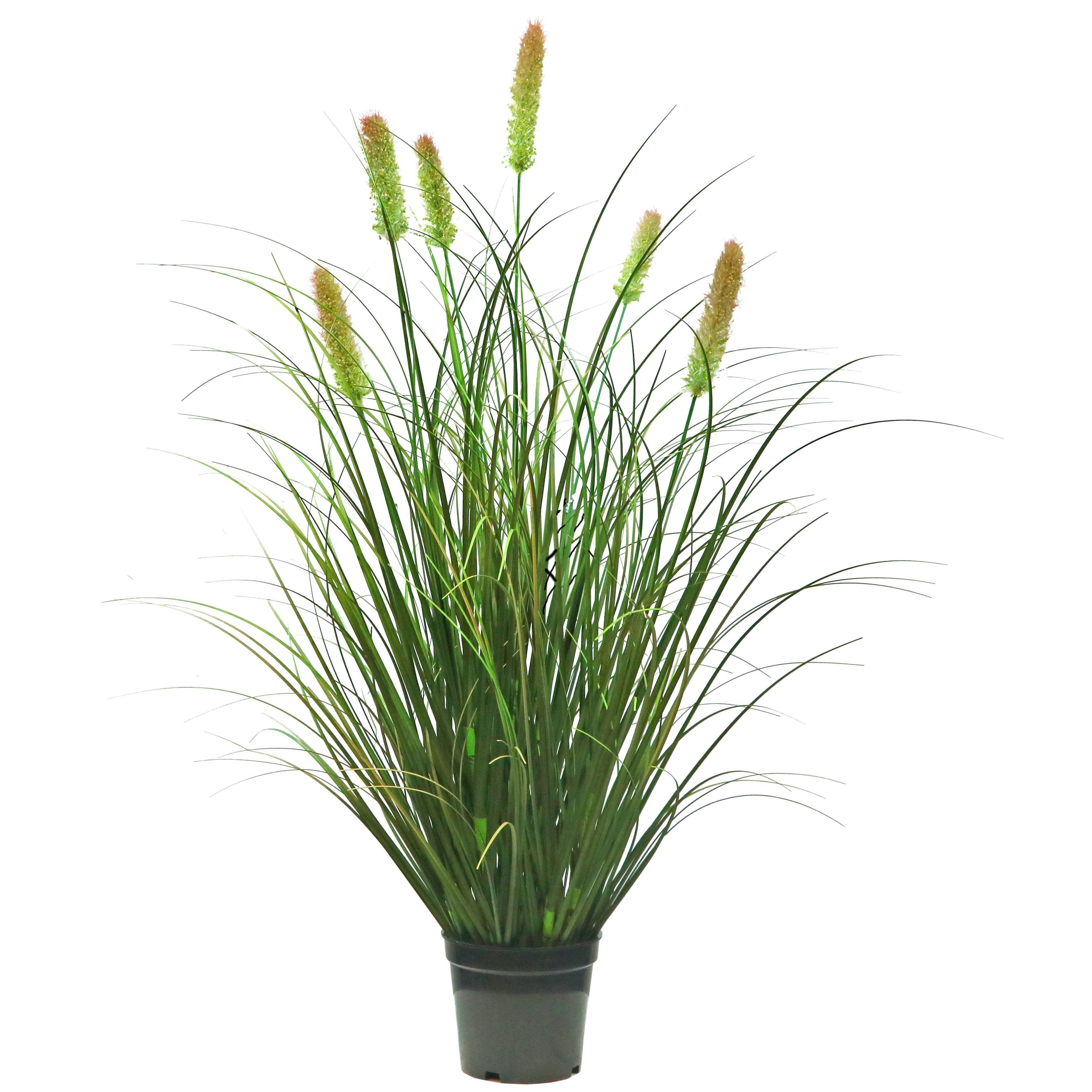 Artificial 6-Head Short Pine Grass with Curved Onion Grass Bonsai 11cm H