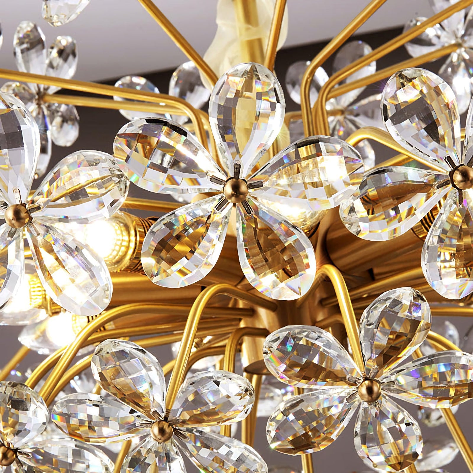 Liora Crystal Bloom Round Chandelier