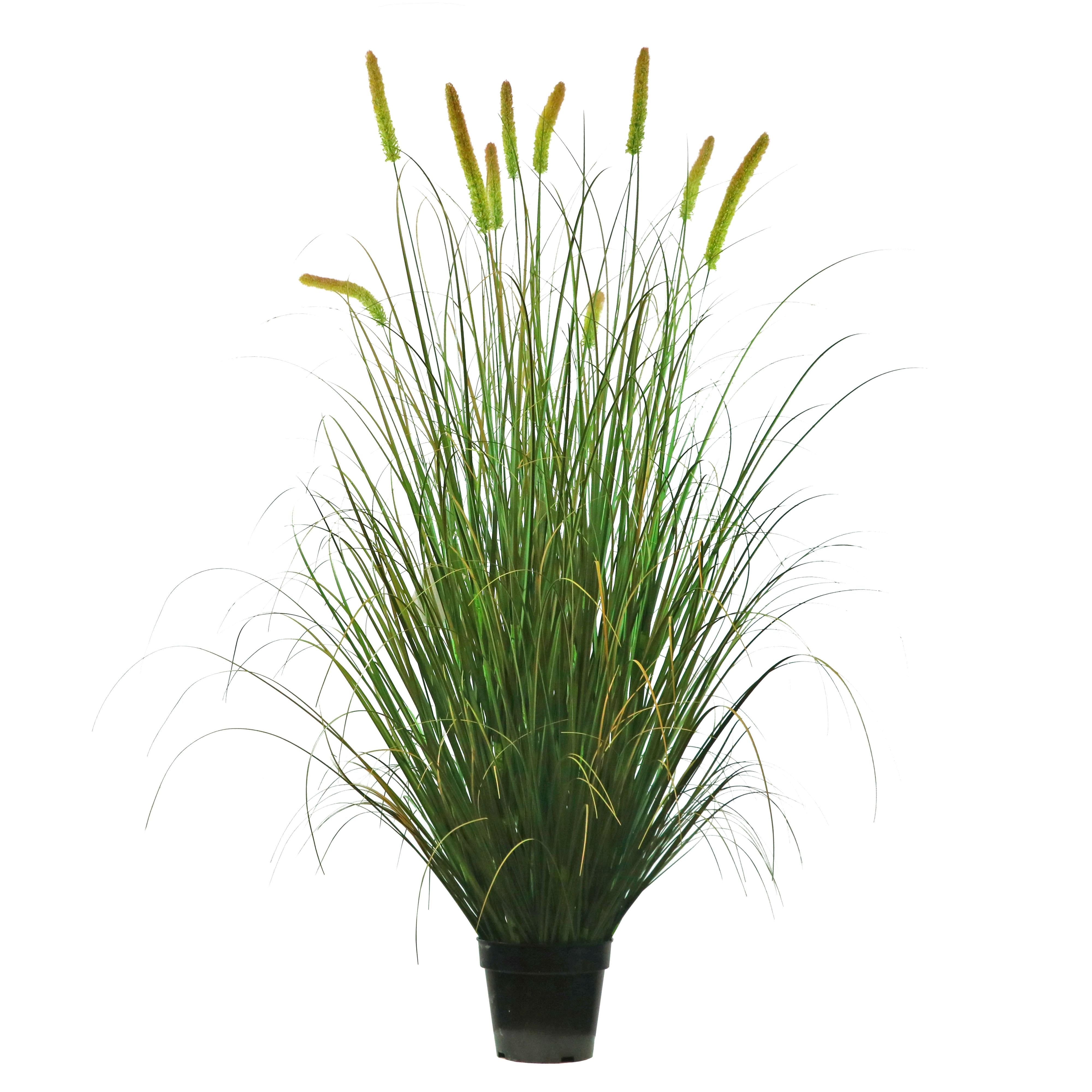 Artificial 10-Head Long Cat Tail with Curved Onion Grass Bonsai 20cm H
