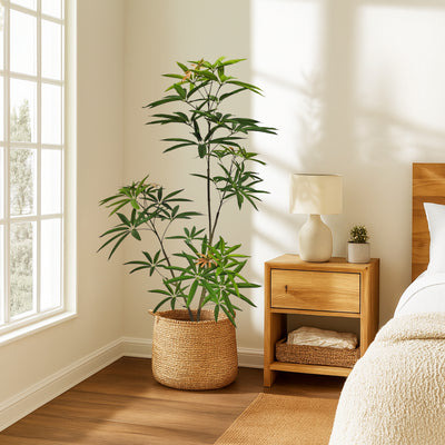 Faux Australian Umbrella Tree 120cm H