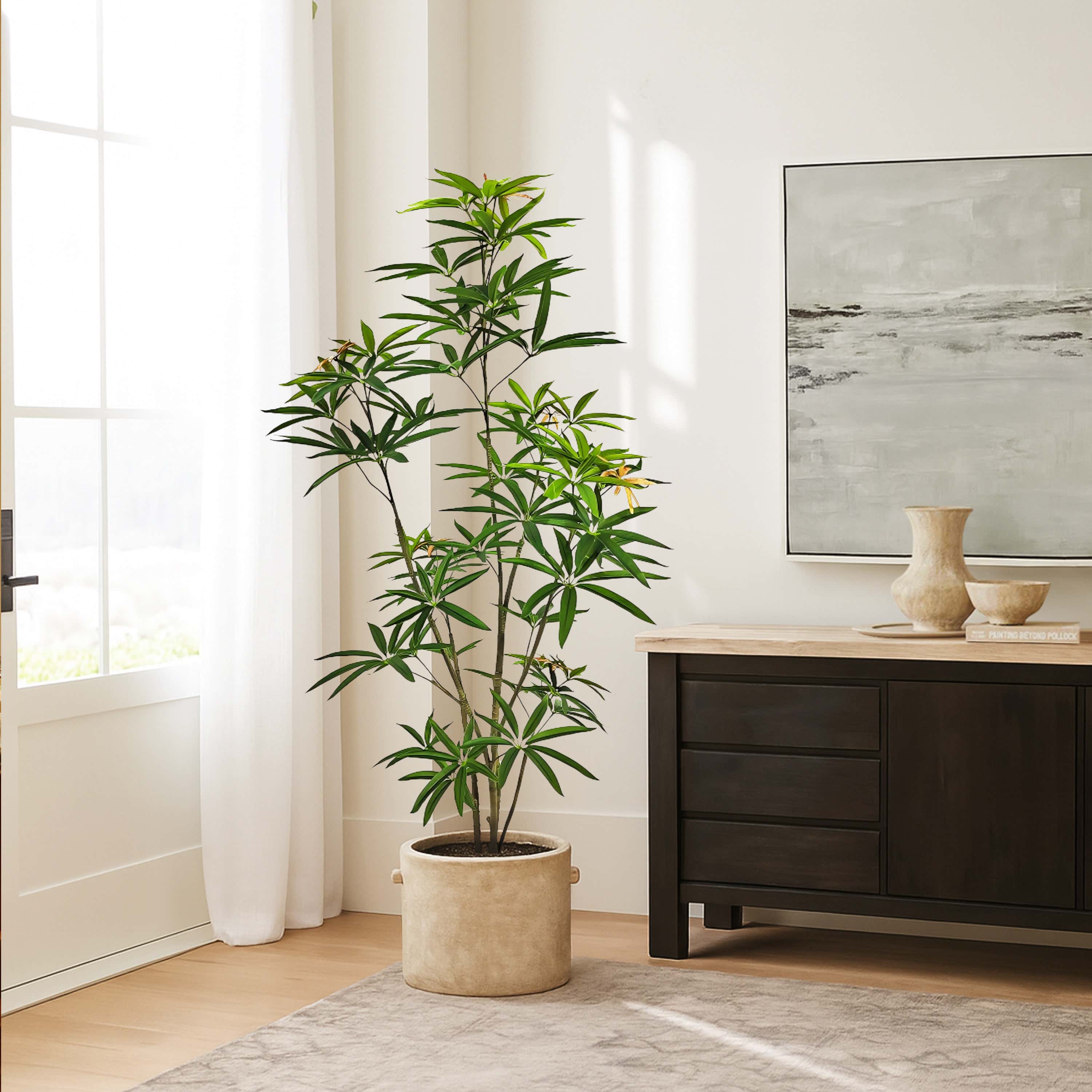 Faux Australian Umbrella Tree 150cm H