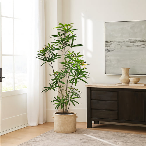 Faux Australian Umbrella Tree 150cm H