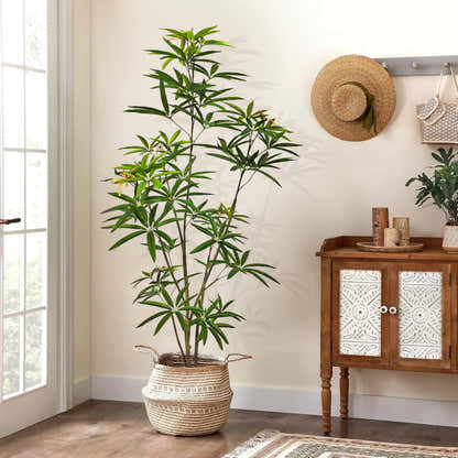 Faux Australian Umbrella Tree 150cm H