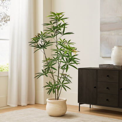 Faux Australian Umbrella Tree 150cm H