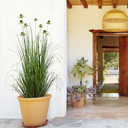 Artificial 9-Head Chrysanthemum with Curved Onion Grass Bonsai 140cm H