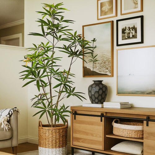 Faux Australian Umbrella Tree 180cm H