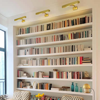 Brushed Radiance Picture Light 24"W