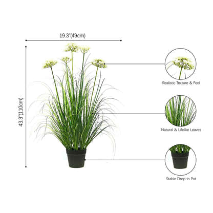 size-image