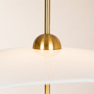 Elysia Acrylic Pendant Light