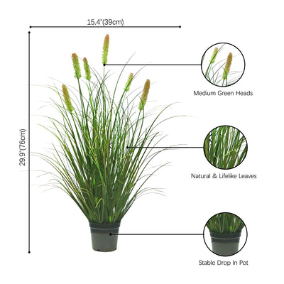 size-image