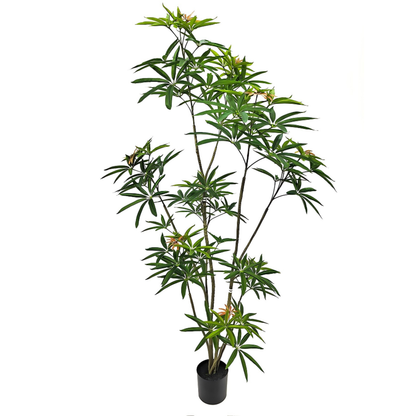 Faux Australian Umbrella Tree 180cm H